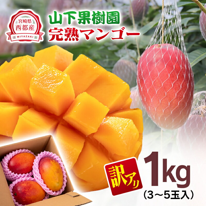 山下果樹園 完熟マンゴー1kg「訳あり」3～5玉 宮崎県 西都産＜1.5-25＞【先行予約】令和8年収穫分 果物 フルーツ