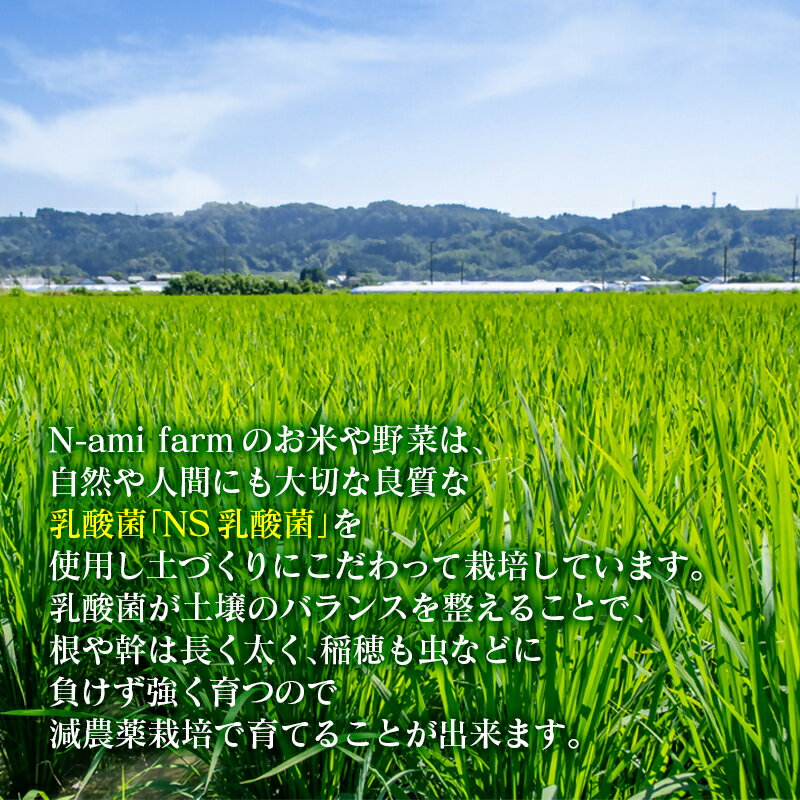 【ふるさと納税】【令和8年産 新米 先行予約】こしひかり 5kg 【※8月上旬以降順次発送予定】　精米済み＜57-1a＞白米 早場米 夏収穫 コシヒカリ 米 送料無料 農家直送 - 画像2
