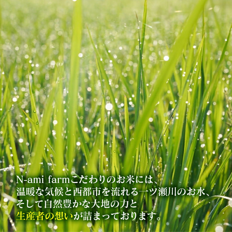 【ふるさと納税】【令和8年産 新米 先行予約】こしひかり 5kg 【※8月上旬以降順次発送予定】　精米済み＜57-1a＞白米 早場米 夏収穫 コシヒカリ 米 送料無料 農家直送 - 画像3