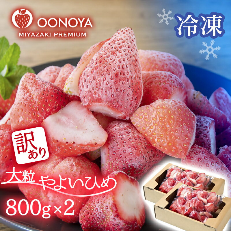 「訳あり」苺大野屋 厳選 完熟「冷凍」いちご「やよいひめ」1.6kg（800g×2） 冷凍 宮崎 西都市 苺 果物 フルーツ＜1.2-67＞