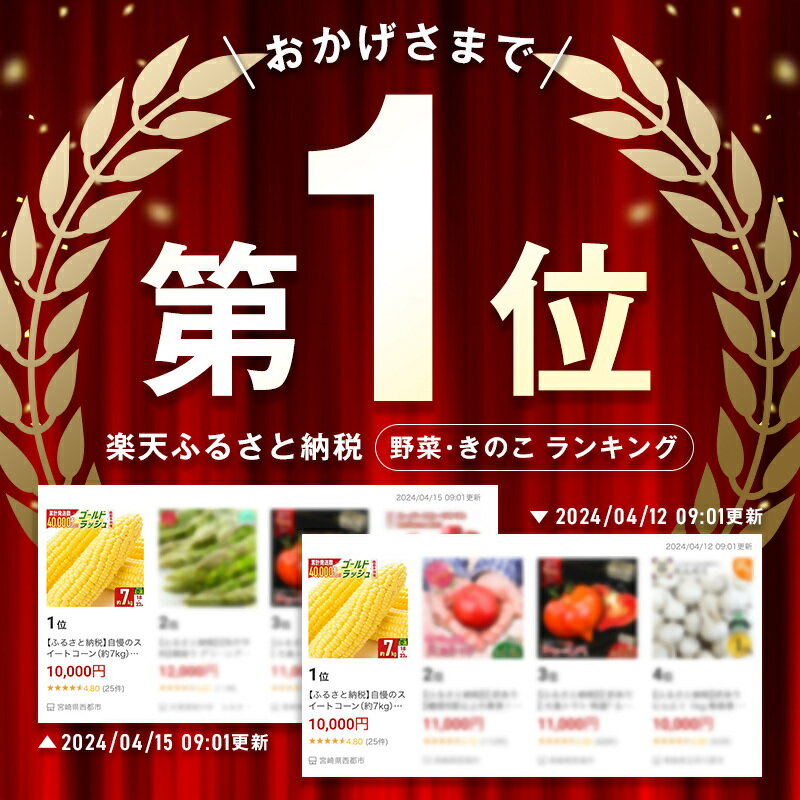 【ふるさと納税】自慢のスイートコーン（約7kg）「楽天限定」ゴールドラッシュ「先行予約」 宮崎県 西都市産 とうもろこし さいと サイト＜1-122＞★ サムネイル2