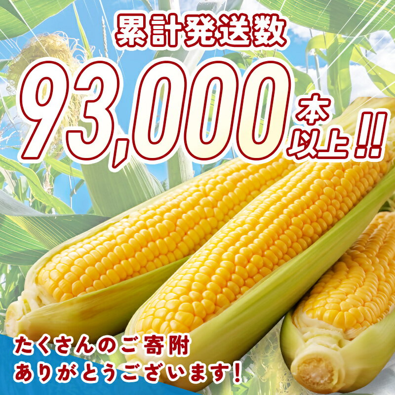 【ふるさと納税】自慢のスイートコーン（約7kg）「楽天限定」ゴールドラッシュ「先行予約」 宮崎県 西都市産 とうもろこし さいと サイト＜1-122＞★ サムネイル3