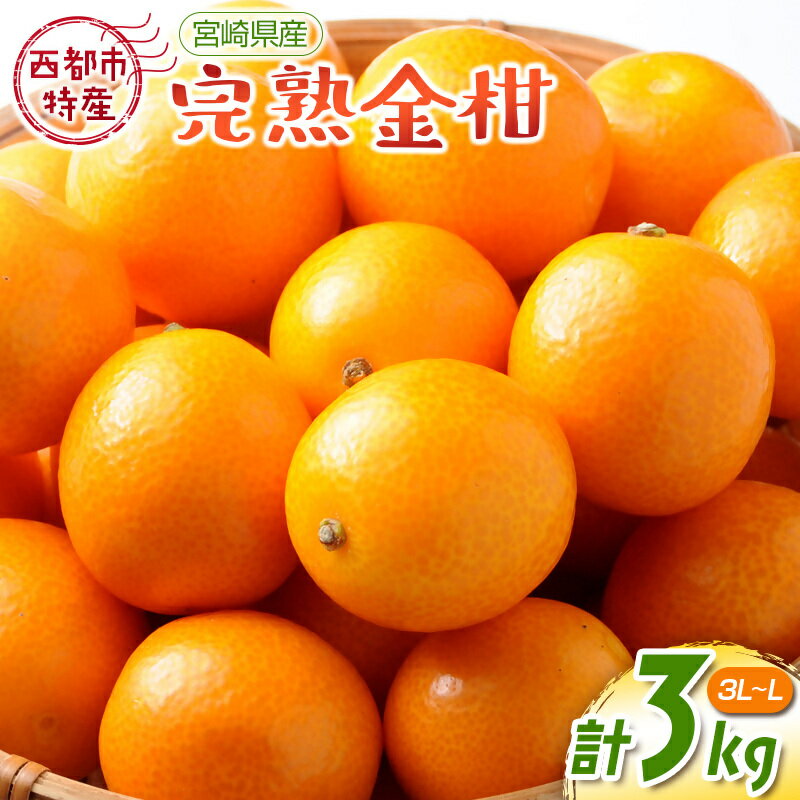宮崎完熟金柑3kg（3L～L）【先行予約】西都市特産品【数量限定】＜1.2-41＞ 果物 フルーツ