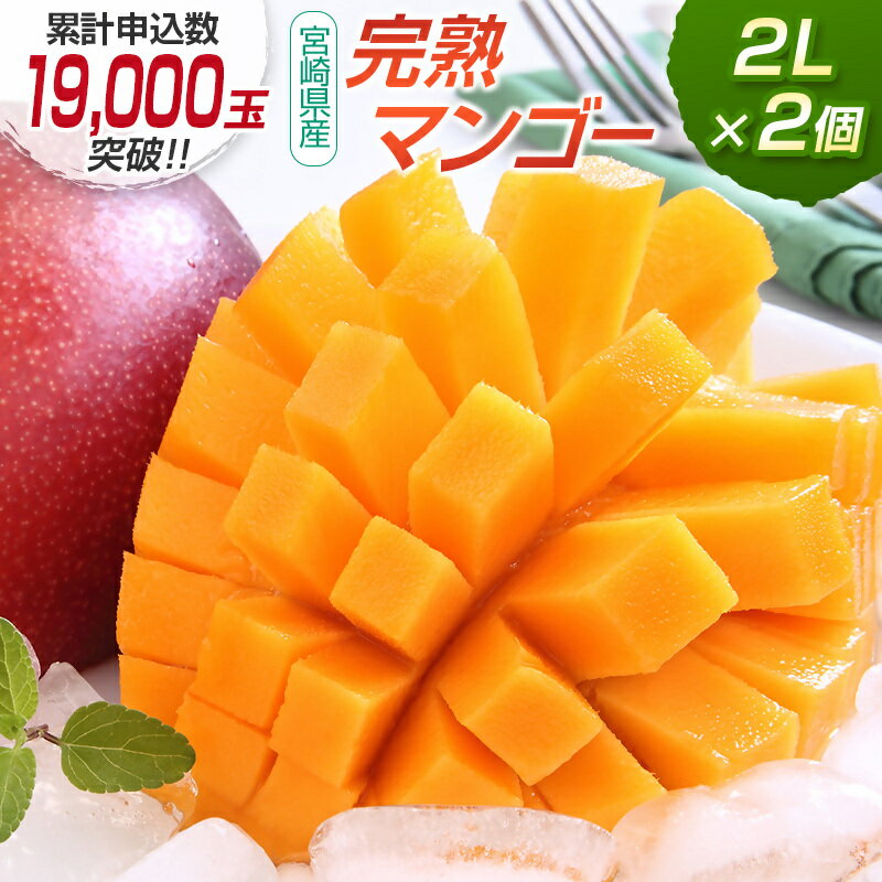 宮崎県産 完熟マンゴー2L×2個 西都市産品【数量限定】 西都市産＜1.2-39＞ 人気 さいと サイト ふるさと 宮崎 先行予約 果物 フルーツ
