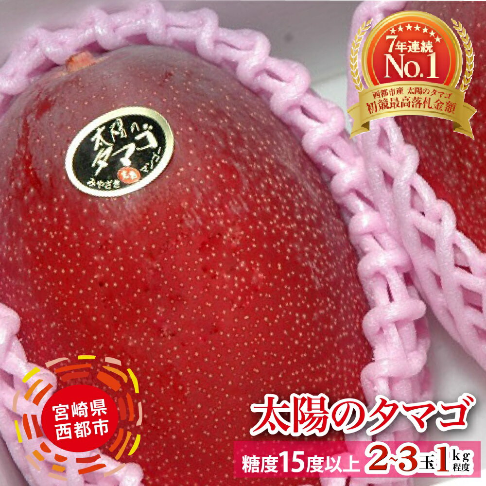 完熟マンゴー「太陽のタマゴ」約1kg（JA西都）令和8年収穫分【楽天限定】【先行予約】宮崎県 西都産 果物 フルーツ