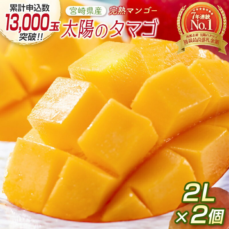 宮崎県産 完熟マンゴー『太陽のタマゴ』2L×2個 西都市特産品【数量限定】 西都市産＜2-76＞人気 さいと サイト ふるさと 先行予約 果物 フルーツ