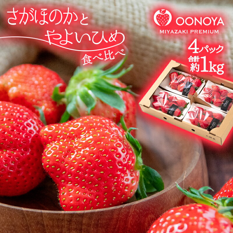 苺大野屋「やよいひめ＆さがほのか」4パック（約1kg）食べ比べ 宮崎県 西都市産 いちご 訳あり たっぷりご家庭用 ふぞろい さいと サイト 先行予約 果物 フルーツ＜2-105＞