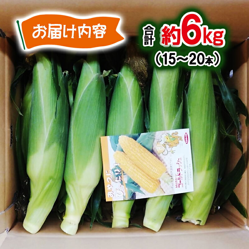 【ふるさと納税】『さいとう農園』朝どれ！ スイートコーン約6kg 15本～20本 ゴールドラッシュ【先行予約】＜1.1-48＞とうもろこし トウモロコシ★ - 画像2