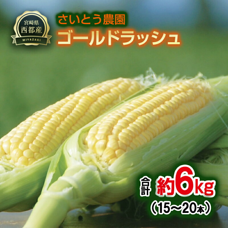『さいとう農園』朝どれ！ スイートコーン約6kg 15本～20本 ゴールドラッシュ【先行予約】＜1.1-48＞とうもろこし トウモロコシ★