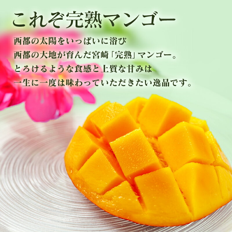 【ふるさと納税】酒井農園 西都産 宮崎完熟マンゴー3L×2個【産地直送】「楽天限定」 さいと サイト 人気 宮崎 先行予約 果物 フルーツ＜1.7-48＞ - 画像2