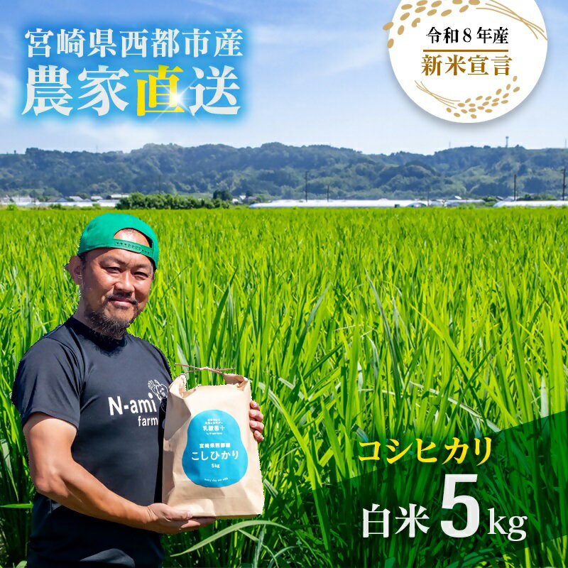 【令和8年産 新米 先行予約】こしひかり 5kg 【※8月上旬以降順次発送予定】　精米済み＜57-1a＞白米 早場米 夏収穫 コシヒカリ 米 送料無料 農家直送