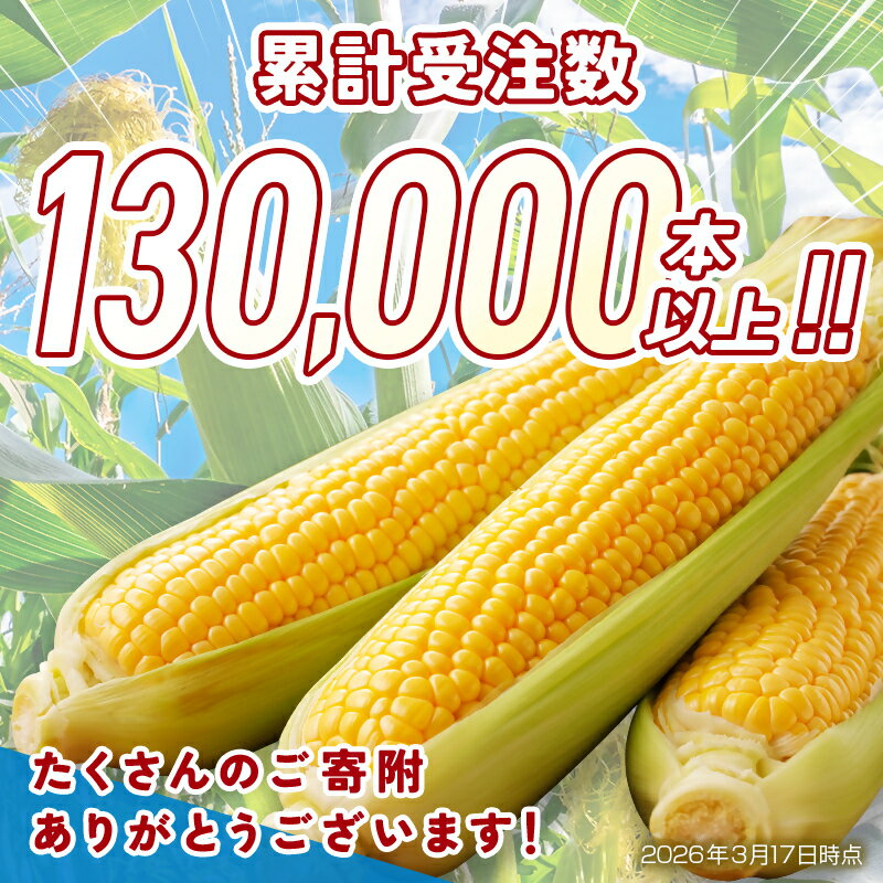 【ふるさと納税】自慢のスイートコーン（約7kg）「楽天限定」ゴールドラッシュ「先行予約」 宮崎県 西都市産 とうもろこし さいと サイト＜18-2a＞★☆ - 画像3