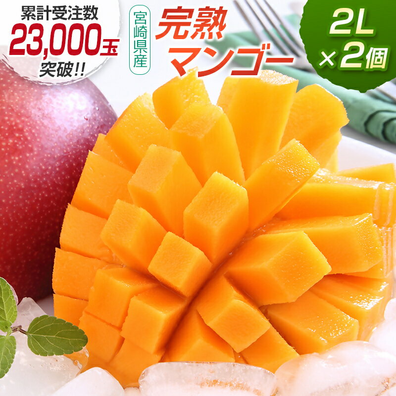 宮崎県産 完熟マンゴー2L×2個 西都市産品【数量限定】 西都市産＜18-5a＞ 人気 さいと サイト ふるさと 宮崎 先行予約 果物 フルーツ