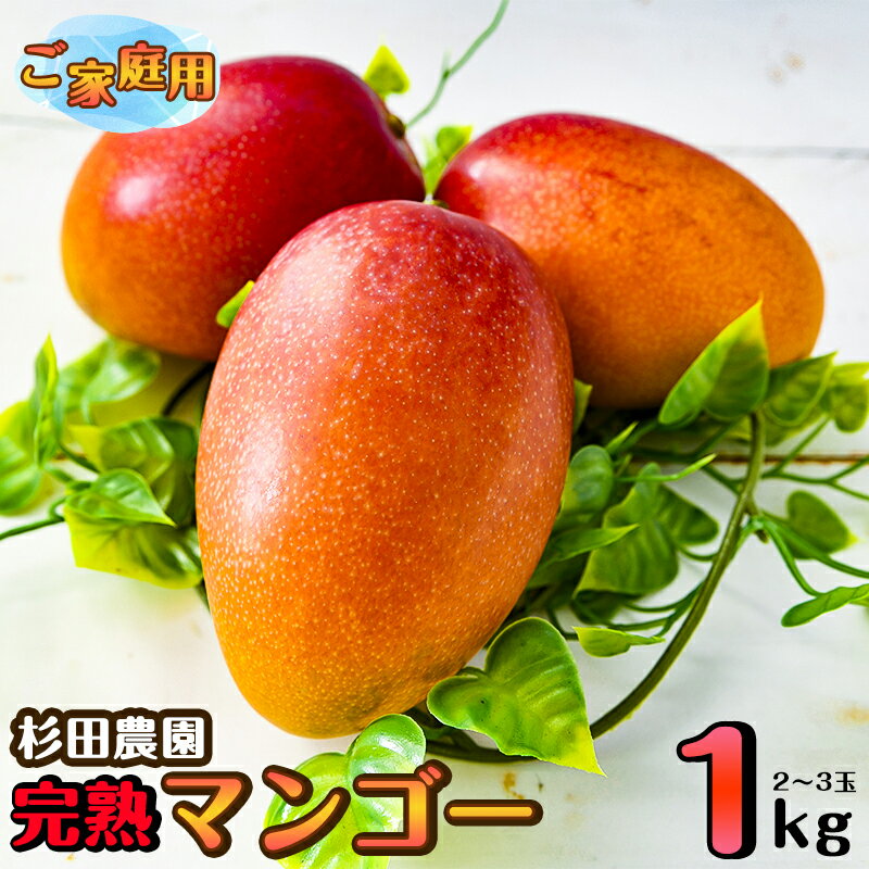 杉田農園 完熟マンゴー約1kg「訳あり」ご家庭用（西都産）＜1.3-25＞【楽天限定】先行予約 ふるさと納税 訳あり 宮崎県 西都市産 人気 さいと サイト ふるさと 宮崎 果物 フルーツ