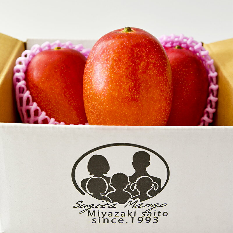 【ふるさと納税】杉田農園 完熟マンゴー約1kg「訳あり」ご家庭用（西都産）＜1.3-25＞【楽天限定】先行予約 ふるさと納税 訳あり 宮崎県 西都市産 人気 さいと サイト ふるさと 宮崎 果物 フルーツ - 画像2