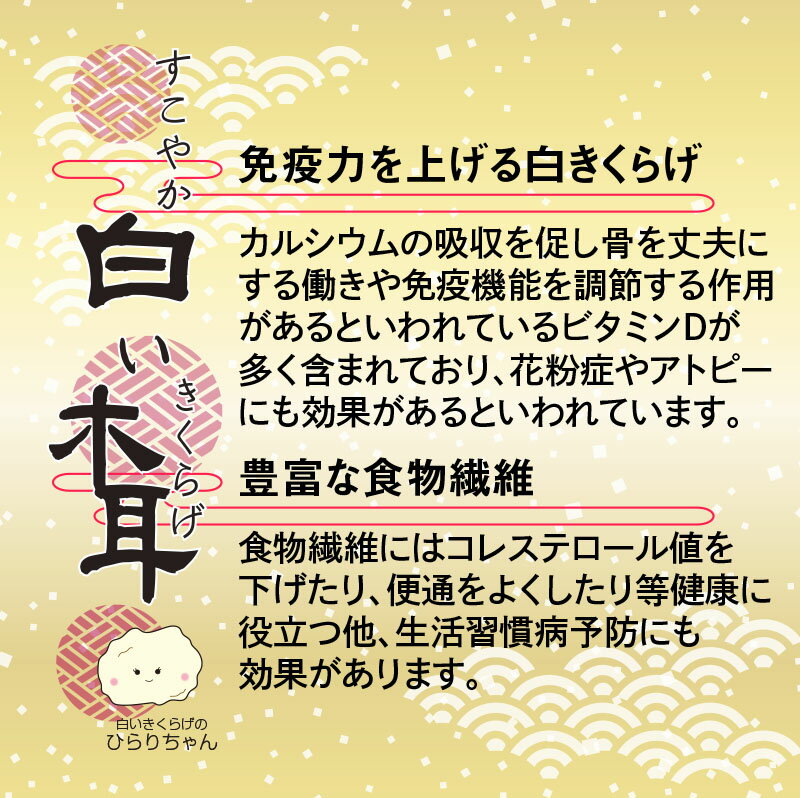 【ふるさと納税】「国産」白いきくらげ粉末（合計：130g）50g＋80g 菌床栽培 農薬不使用 宮崎県 西都市産 - 画像3