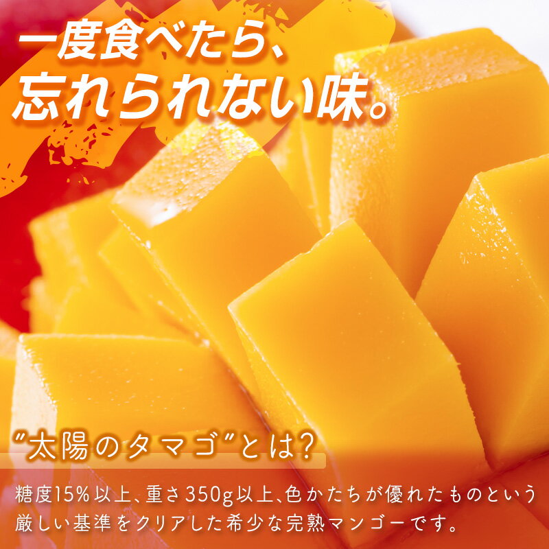 【ふるさと納税】宮崎県産 完熟マンゴー『太陽のタマゴ』2L×2個 西都市特産品【数量限定】 西都市産＜2-76＞人気 さいと サイト ふるさと 先行予約 果物 フルーツ - 画像3