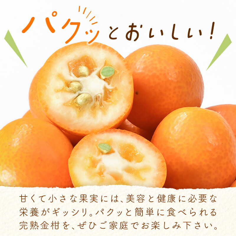 【ふるさと納税】宮崎完熟金柑3kg（3L～L）【先行予約】西都市特産品【数量限定】＜1.2-41＞ 果物 フルーツ サムネイル2