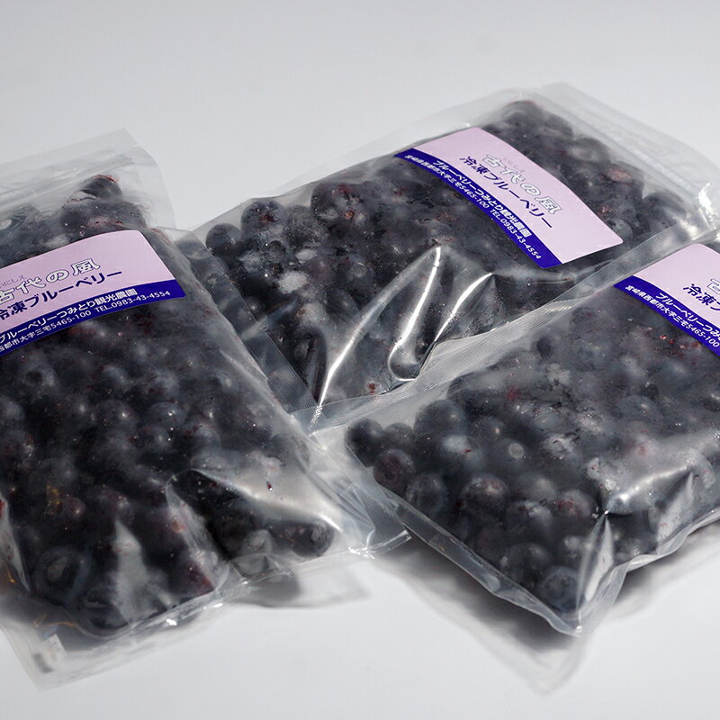 【ふるさと納税】ブルーベリー冷凍900g（300g×3パック）「先行予約」西都市『古代の風』収穫 国産 手摘み 楽天限定＜1-57＞ サムネイル2