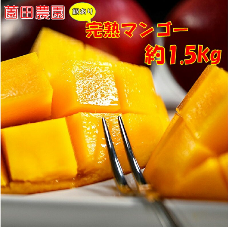 「薗田農園」訳あり 宮崎完熟マンゴー 1.5kg（3～5玉）「楽天限定」西都市 マンゴーR8年収穫分「先行予約」 果物 フルーツ＜1.8-30＞