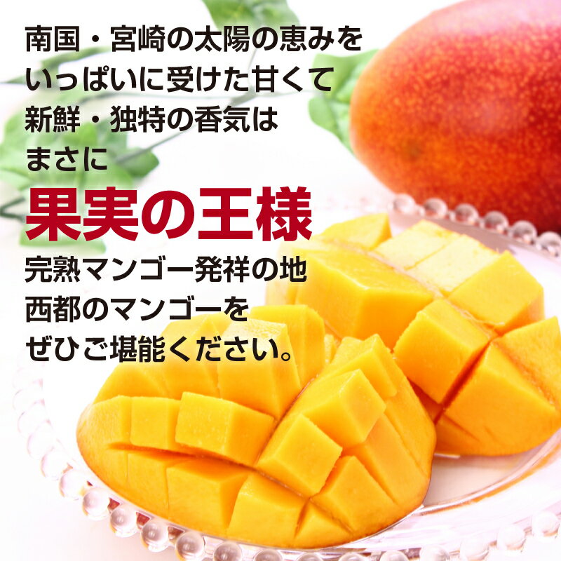 【ふるさと納税】酒井農園 西都産 宮崎完熟マンゴー3L×2個【産地直送】「楽天限定」 さいと サイト 人気 宮崎 先行予約 果物 フルーツ＜1.7-48＞ - 画像3