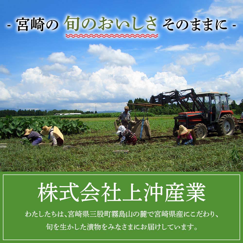 【ふるさと納税】＜辛みそ万能おかず生姜 8袋セット（130g×8P）＞ 国産生姜を細かく刻み旨みのある味噌と唐辛子を加えた万能おかず生姜！宮崎県産 国産 醤油漬 生姜 ショウガ 薬味 生姜焼き セット 詰め合わせ【MI090-ko】【株式会社上沖産業】 サムネイル2