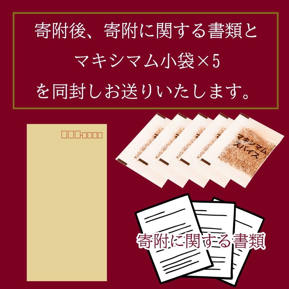 【ふるさと納税】【楽天限定】＜マキシマムスパイス小袋10g (2g×5袋)＞ 毎月数量限定 スパイス 万能 焼き肉 焼肉 調味料 かけるだけ 簡単 調理 お手軽 家庭用 お買い物マラソン スーパーセール 千円 1,000円 1000円ポッキリ 買い回り お試し 少量 【MI572-nk】【中村食肉】 サムネイル2