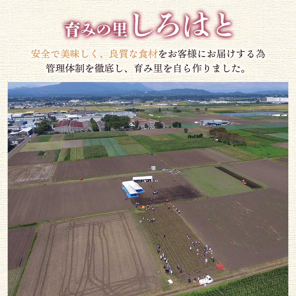 【ふるさと納税】【先行予約受付中】＜【A】おいも株オーナー制度1口セット2株 霧島紅かぐら(最低2.4kg保証)＞2026年12月中旬頃にさつまいもをお届け きりしまべにかぐら サツマイモ 芋 権利書 チケット 体験 苗植会 収穫祭【MI106-sh】【株式会社育みの里しろはと】 - 画像3