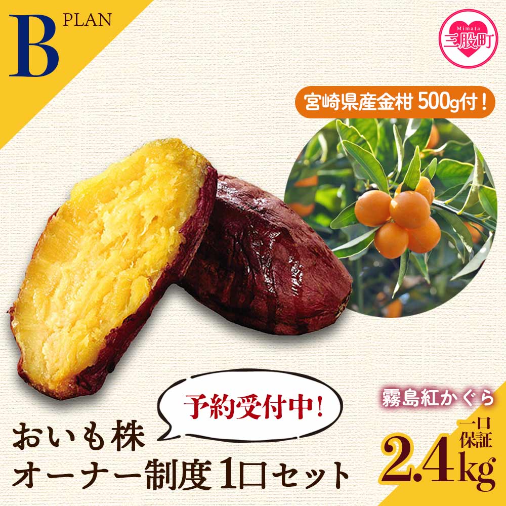 【先行予約受付中】＜【B】おいも株オーナー制度1口セット2株 霧島紅かぐら(最低2.4kg保証)+特産品＞2026年12月中旬頃にさつまいもときんかんをお届け！サツマイモ さつま芋 権利書 チケット 甘い デザート【MI187-sh】【株式会社育みの里しろはと】