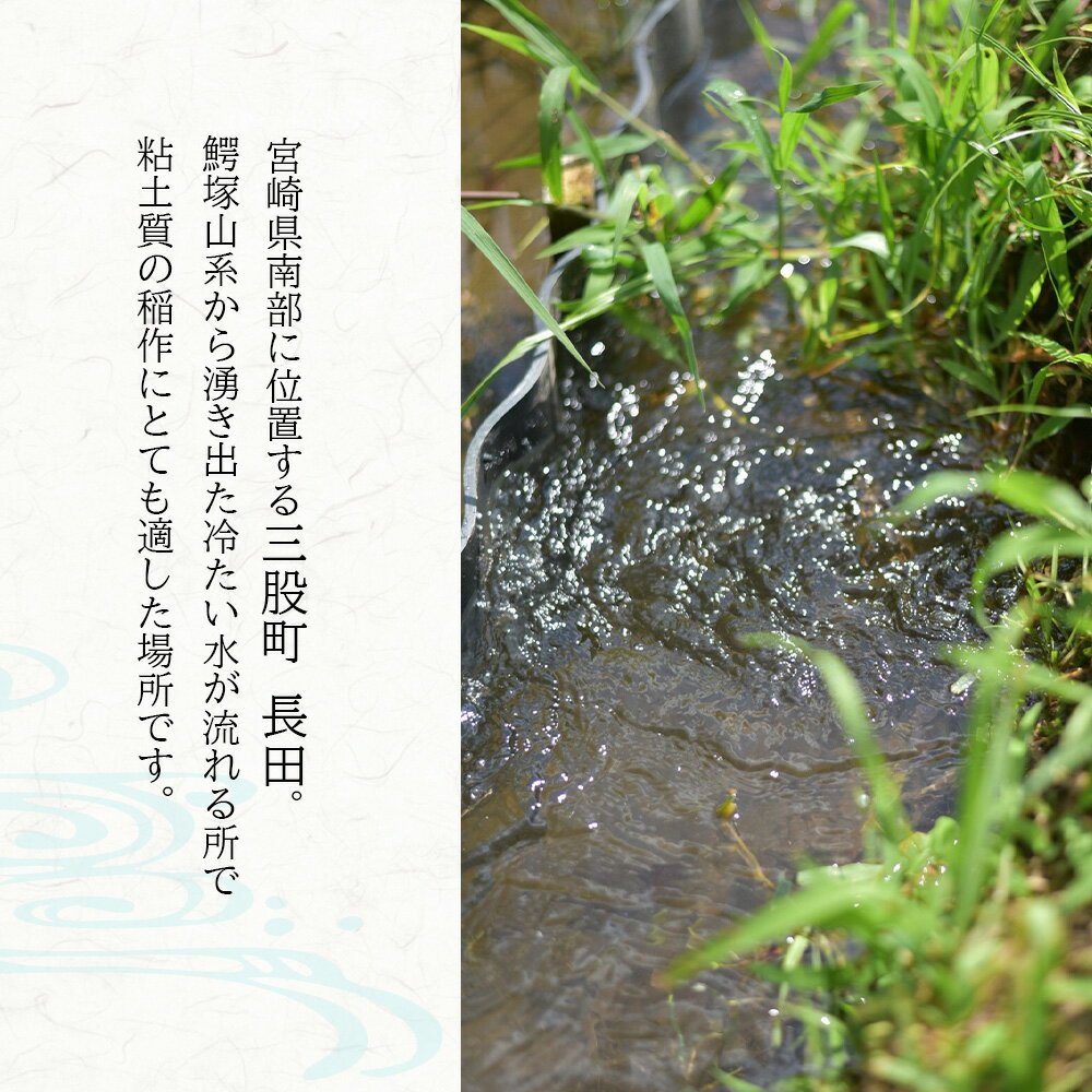 【ふるさと納税】選べる＜高橋さん家のおいしいお米＞ 定期便 連続 隔月 国産 白米 ライス ひなた米 精米 主食 ご飯 おにぎり 備蓄 防災 保存 ご飯 粒 ツヤツヤ 粘り あまみ 甘み お弁当 お昼 おこめ 内容量 5キロ 10キロ 袋 おすそ分け【MI526-th】【高橋農林】 - 画像2