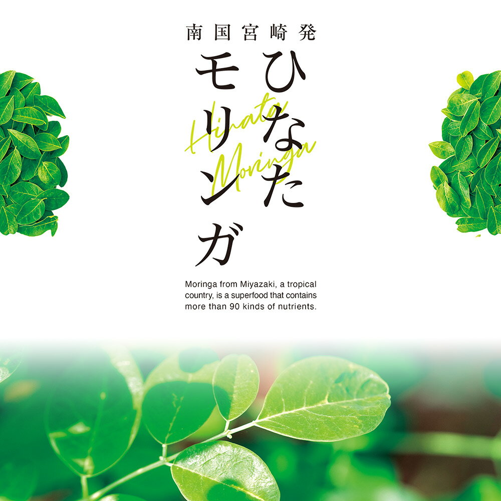 【ふるさと納税】＜【定期便】全3回連続ひなたモリンガパウダー25g＞宮崎県三股町産モリンガ使用「ひなたモリンガ」パウダー25g入 スーパーフード 国産 粉末 宮崎県産 JAS認定工場製造 腸活 腸内改善【MI421-ys】【吉原建設株式会社】 サムネイル2