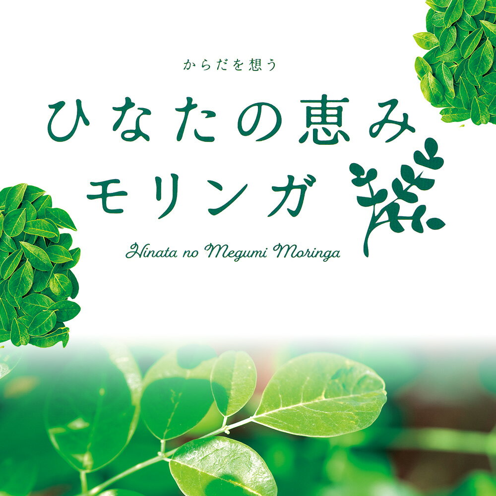 【ふるさと納税】内容量を選べる！＜ひなたの恵みモリンガパウダー50g＞数量が選べる 宮崎県三股町産モリンガ使用 パウダータイプ スーパーフード 国産 粉末 宮崎県産 JAS認定工場製造 腸内改善【MI262-ys MI307-ys MI308-ys】【吉原建設株式会社】 - 画像2