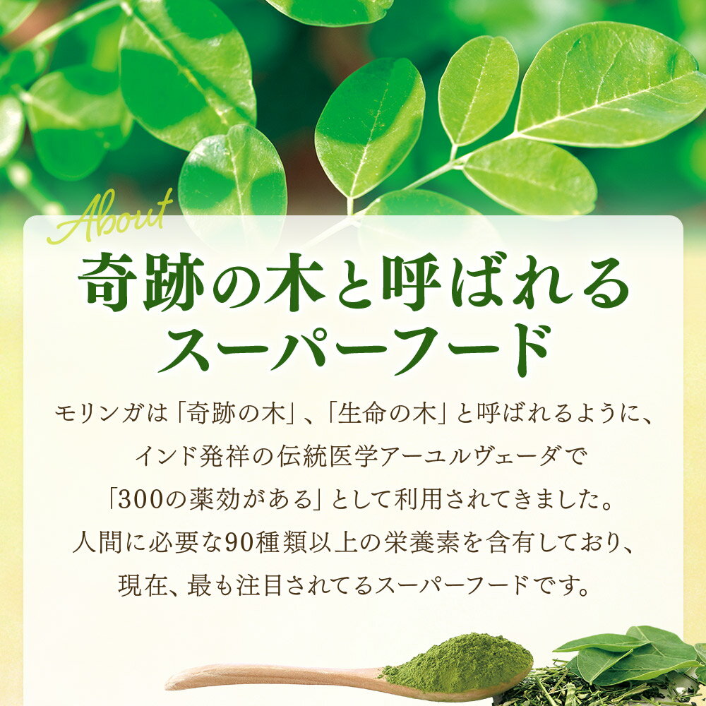 【ふるさと納税】内容量を選べる！＜ひなたの恵みモリンガパウダー50g＞数量が選べる 宮崎県三股町産モリンガ使用 パウダータイプ スーパーフード 国産 粉末 宮崎県産 JAS認定工場製造 腸内改善【MI262-ys MI307-ys MI308-ys】【吉原建設株式会社】 - 画像3