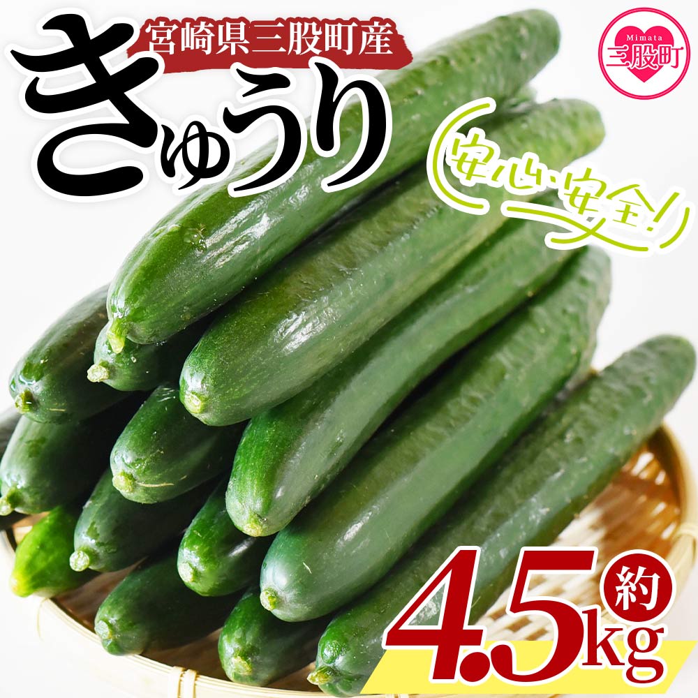 ＜【先行予約】【期間限定】パリッと甘い魔法のきゅうり マジキュー4.5kg＞約4.5kg パリッと甘い魔法のキュウリ「マジキュー」漬物や天ぷらに！ 【A-1901-yt】【ゆたか農園】