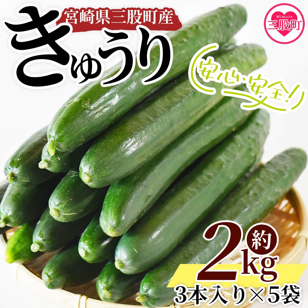 ＜【先行予約】【期間限定】宮崎県産きゅうり(約2kg)＞(約2kg・3本入り×5袋)パリッと甘い魔法のキュウリ「マジキュー」漬物や天ぷらに！ 【MI149-yt】【ゆたか農園】