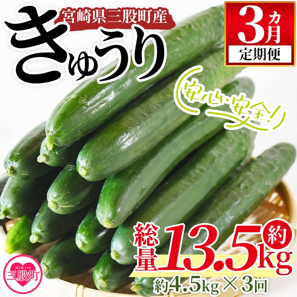 ＜【3ヵ月定期便】【期間限定】パリッと甘い魔法のきゅうり マジキュー約4.5kg×3回＞宮崎県産きゅうり(総量約13.5kg・約4.5kg×3回)野菜 国産促成栽培 キュウリ 【MI200-yt】【ゆたか農園】