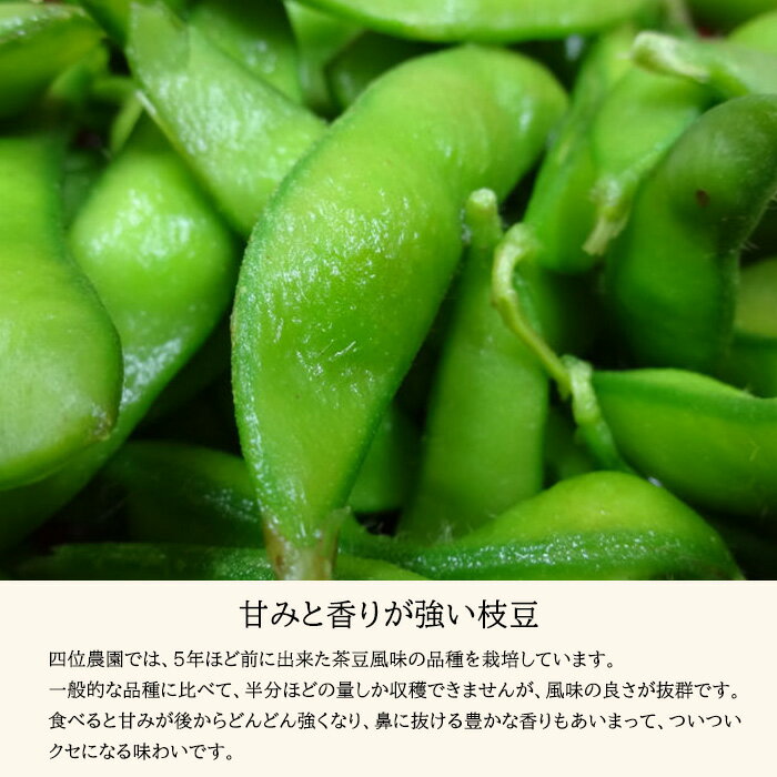 【ふるさと納税】宮崎県産えだまめ 3kg(500g×6袋) 自社農園からの獲れたてをその日に加工 旨みと甘みたっぷり 宮崎県高原町 安全・安心 新鮮 枝豆 茶豆 おつまみ 故郷納税 晩酌 ビール お酒 ホームパーティー 居酒屋 ストック 送料無料 冷凍 国産 九州産 10000円 1万円 サムネイル3