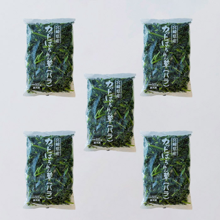 【ふるさと納税】ほうれんそう 四位農園 九州産『冷凍ほうれん草』2.5kg(500g×5袋) 冷凍 カット野菜 自社農園からの獲れたて新鮮野菜を自社加工 法蓮草 グローバルGAP取得 ISO22000認証 安全安心 宮崎県高原町 時短料理 ストック 送料無料 故郷納税 返礼品 10000円 1万円 - 画像2