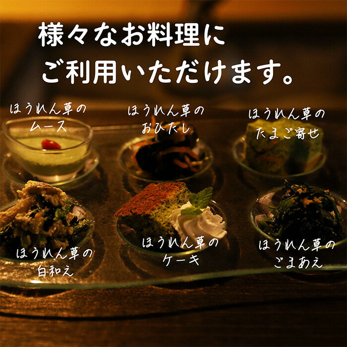 【ふるさと納税】九州産 ほうれん草(10kg) 業務用 大容量 豊かな大地と清らかな水で育った安心・安全野菜 新鮮 採りたてを冷凍 送料無料 自然環境循環農業 サイドメニュー お惣菜 おかず 常備食材 仕入れ 旨味 バラ凍結 故郷納税 30000円 3万円 - 画像2