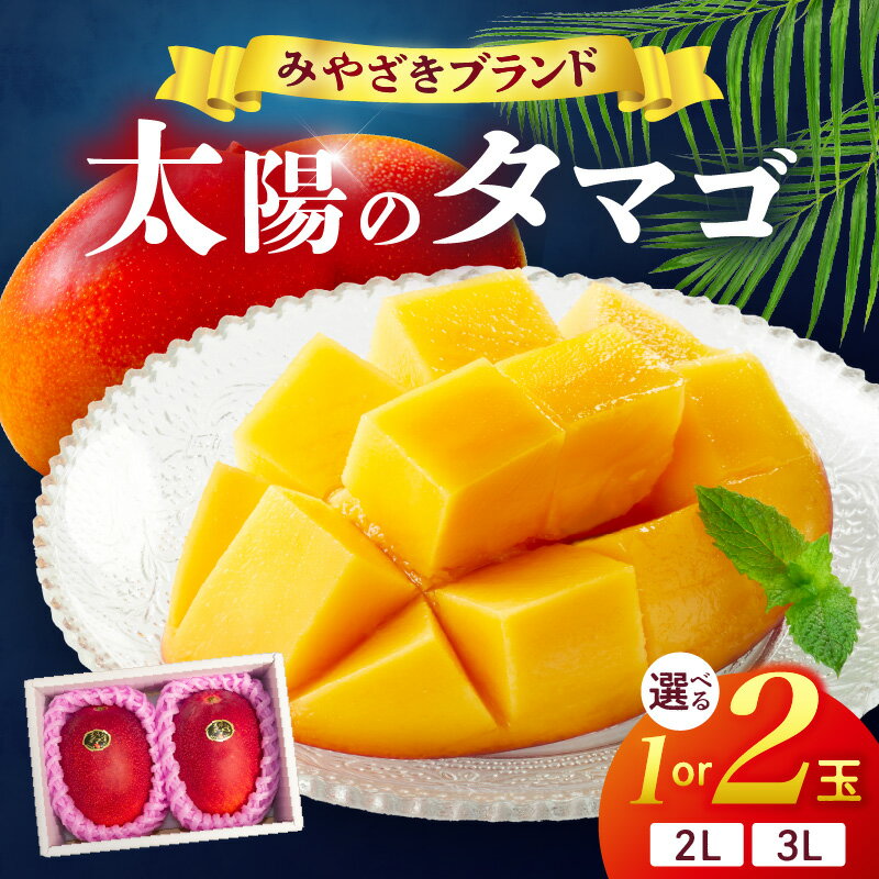 【選べる内容量】宮崎県産 太陽のタマゴ マンゴー フルーツ 果物 果汁 果肉 希少 濃厚 贅沢 ご褒美 お祝い 人気 贈り物 贈答 プレゼント おやつ 青果物 デザート スイーツ 新鮮 冷蔵 ギフト ご当地 グルメ 送料無料
