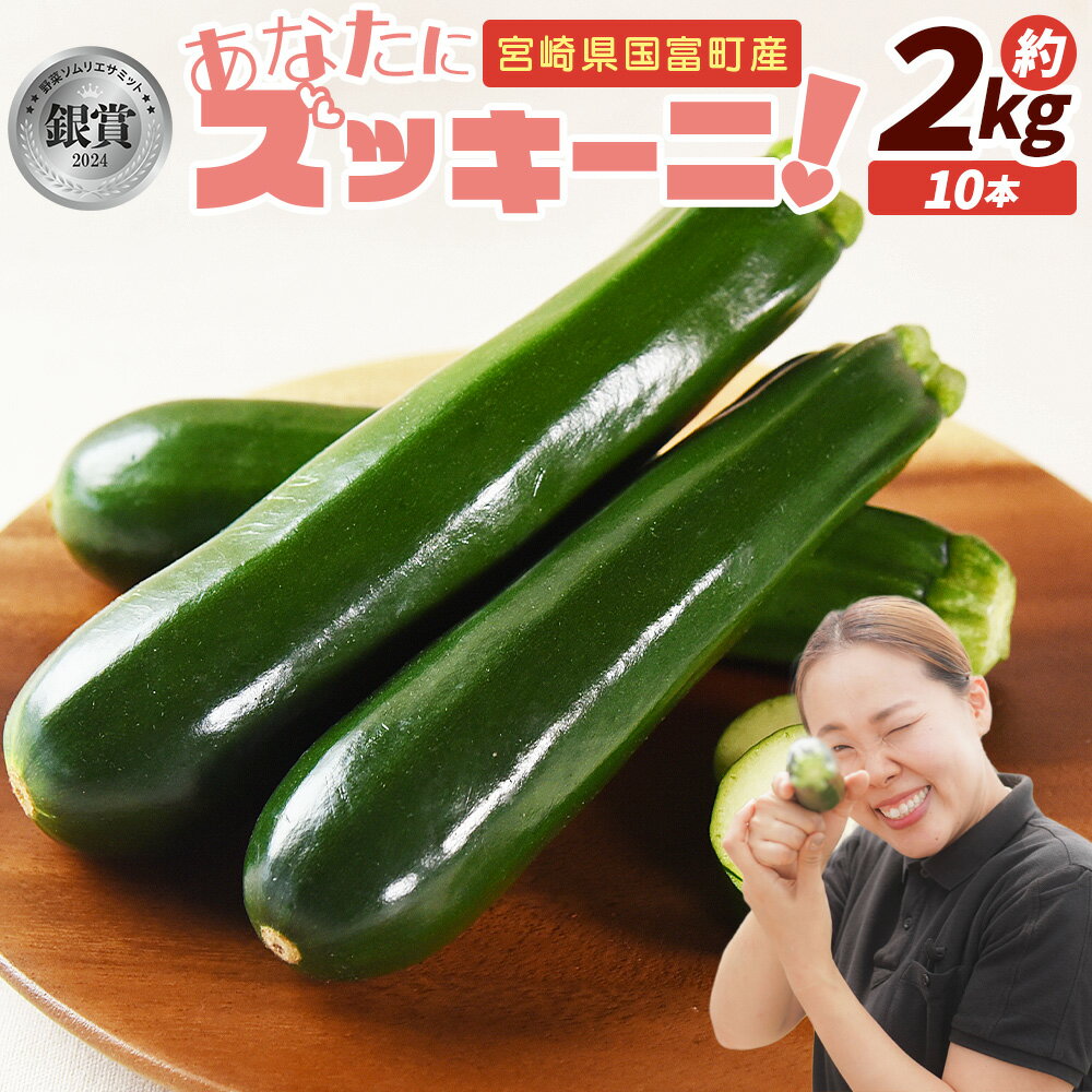 ★予約受付★＜野菜ソムリエサミット銀賞受賞！ あなたにズッキーニ約2kg（10本）＞※入金確認後1か月程度の出荷、もしくはお歳暮期間に出荷 野菜 青果 国産 生食 輪切り ソテー サラダ 天ぷら ラタトゥイユ ヒダカファーム 宮崎県 国富町【冷蔵】