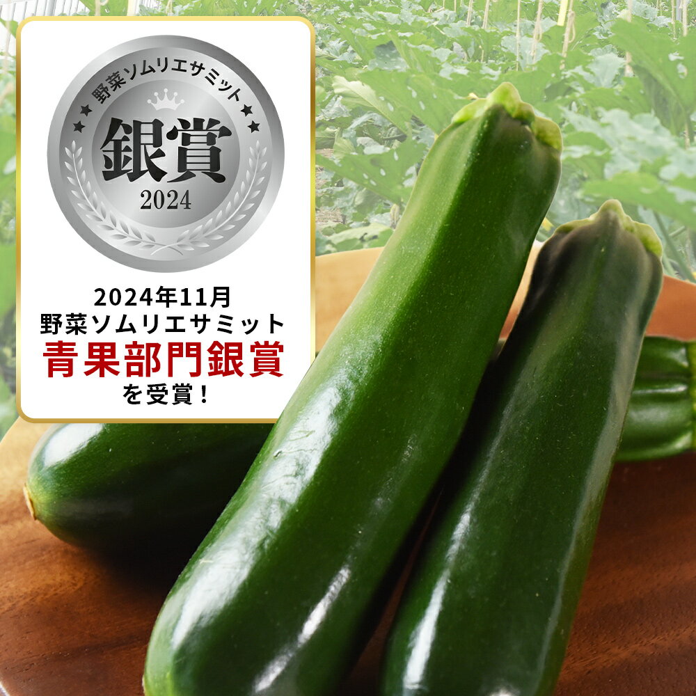 【ふるさと納税】★予約受付★＜野菜ソムリエサミット銀賞受賞！ あなたにズッキーニ約2kg（10本）＞※入金確認後1か月程度の出荷、もしくはお歳暮期間に出荷 野菜 青果 国産 生食 輪切り ソテー サラダ 天ぷら ラタトゥイユ ヒダカファーム 宮崎県 国富町【冷蔵】 - 画像2