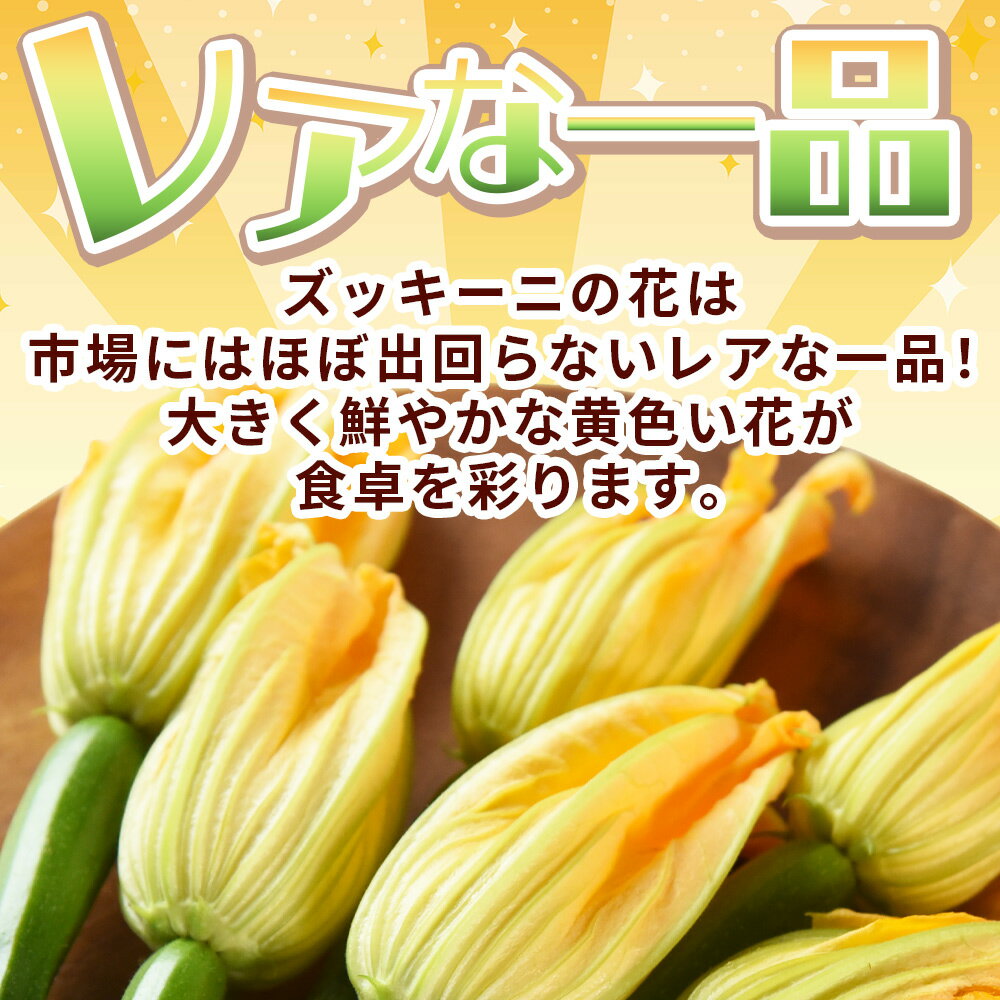 【ふるさと納税】★予約受付★＜あなたにズッキーニの花 8個＞※入金確認後1か月程度の出荷、もしくはお歳暮期間に出荷 野菜 青果 国産 料理 アレンジ 天ぷら ヒダカファーム 宮崎県 国富町 【冷蔵】 - 画像2
