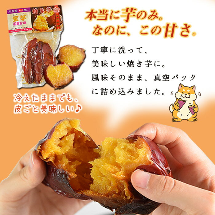 【ふるさと納税】干し芋 さつまいも＜蜜芋 国富金時セット (蜜芋400g×10＋干し芋150g×6)＞※入金確認後、翌月末迄に順次出荷します。 和菓子 和スイーツ イモ おやつ 国富金時芋 宮崎県 国富町 原農園 0223_hr_x1【常温】 - 画像2