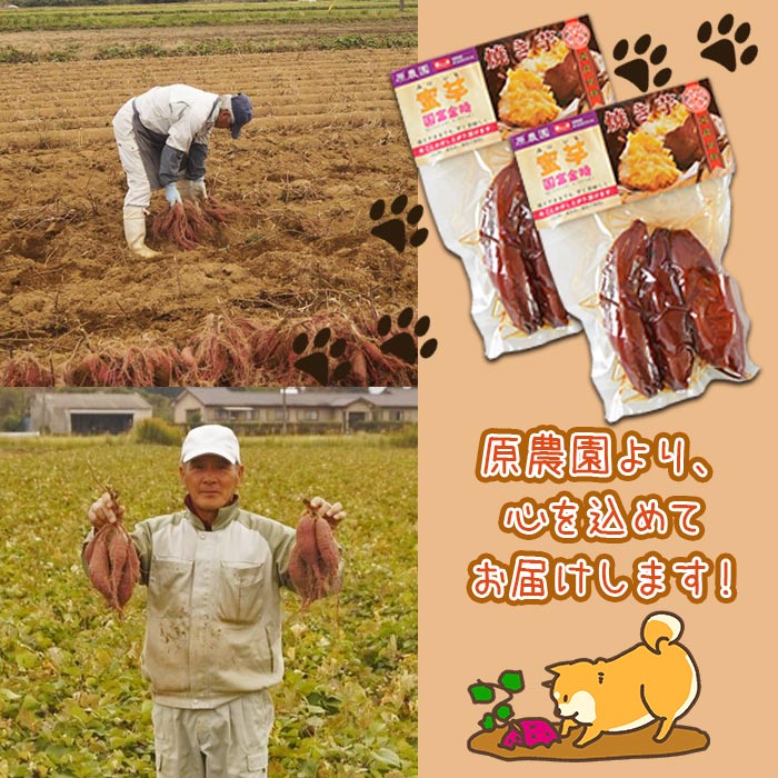 【ふるさと納税】焼き芋 さつまいも＜国富金時 蜜芋（400g×2）合計800g＞※入金確認後、翌月末迄に順次出荷します。 みついも おやつ 和菓子 和スイーツ 国富金時芋 宮崎県 国富町 原農園 0530_hr【常温】 - 画像3