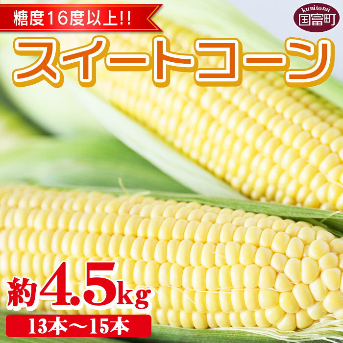 予期間限定【2026年発送】 とうもろこし ＜宮崎県産 スイートコーン 約4.5kg＞※入金確認後、2026年5月下旬〜6月中旬迄に順次出荷 先行予約 穀物 野菜 青果 甘い 季節限定 JAみやざき 宮崎中央地区本部管内産 宮崎県 国富町【冷蔵】