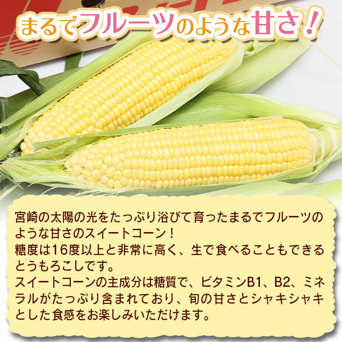 【ふるさと納税】予期間限定【2026年発送】 とうもろこし ＜宮崎県産 スイートコーン 約4.5kg＞※入金確認後、2026年5月下旬〜6月中旬迄に順次出荷 先行予約 穀物 野菜 青果 甘い 季節限定 JAみやざき 宮崎中央地区本部管内産 宮崎県 国富町【冷蔵】 - 画像2