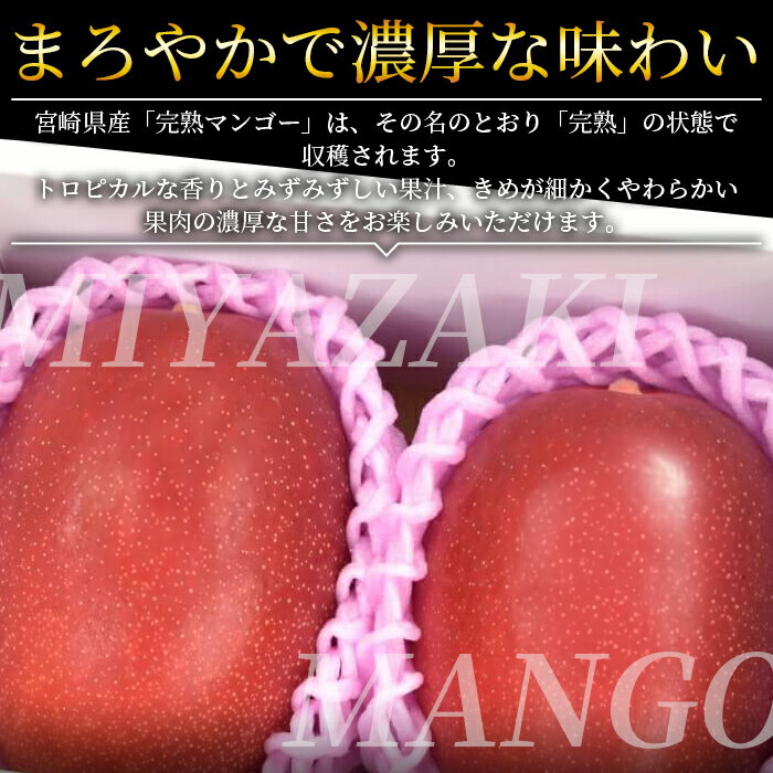 【ふるさと納税】数量限定【2026年発送】＜宮崎県産 完熟マンゴー A等級 2Lサイズ×2玉（合計約700g）＞※入金確認後、2026年4月上旬〜6月末迄に順次出荷 果物 フルーツ ギフト 贈り物 贈答用 季節限定 JAみやざき 宮崎県 国富町【冷蔵】 サムネイル2