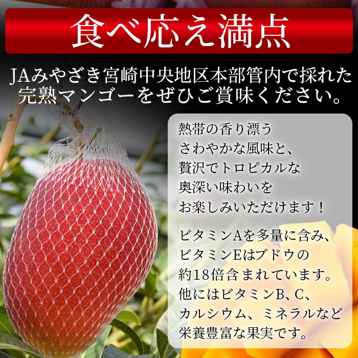 【ふるさと納税】数量限定【2026年発送】＜宮崎県産 完熟マンゴー A等級 2Lサイズ×2玉（合計約700g）＞※入金確認後、2026年4月上旬〜6月末迄に順次出荷 果物 フルーツ ギフト 贈り物 贈答用 季節限定 JAみやざき 宮崎県 国富町【冷蔵】 サムネイル3