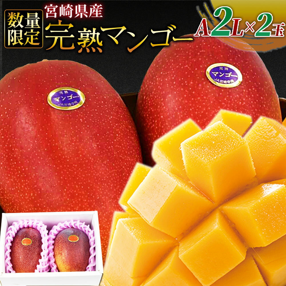 数量限定【2026年発送】＜宮崎県産 完熟マンゴー A等級 2Lサイズ×2玉（合計約700g）＞※入金確認後、2026年4月上旬〜6月末迄に順次出荷 果物 フルーツ ギフト 贈り物 贈答用 季節限定 JAみやざき 宮崎県 国富町【冷蔵】